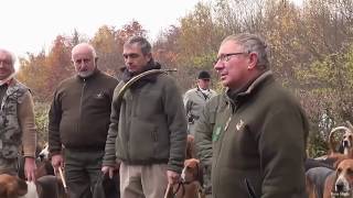 chasse au sanglier à lAbbaye du Val des Choues [upl. by Azitram868]