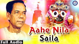 Ahe Nila Saila  ଆହେ ନୀଳ ଶୈଳ ଭଜନ ସମ୍ରାଟ ଶ୍ରୀ ଭିକାରି ବଳଙ୍କ କଣ୍ଠରେ ଭକ୍ତ ସାଲବେଗ ଚଳଚିତ୍ରର ଭକ୍ତିଭରା ଭଜନ [upl. by Reviel]