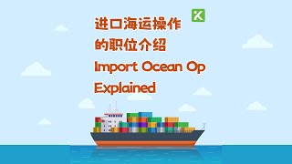 纽约货代操作经理Logistics OP Manager 讲解了Ocean Import Operation 海运进口货的物流操作流程 [upl. by Moir]