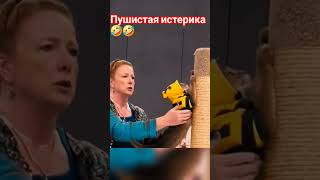 смех истерика пушистики смешная подборка тренд смех юмор шортс рек кот funny trending [upl. by Betteanne]