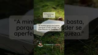 📖 2 Coríntios 129  O Versículo do Dia 🙏 [upl. by Ninon]