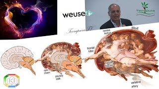 Dr Espedito De Leonardis  Il corpo lanima la vita  Esistono i miracoli Oloslife DimoradelKI [upl. by Baler]