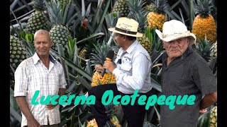 Lucerna Ocotepeque muy pronto celebrará su festival de la 🍍 piña [upl. by Enimasaj]