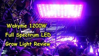 Wakyme Full Spectrum LED Grow Light Review [upl. by Yenreit206]