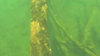 Chattahoochee River Underwater GoPro HERO3 [upl. by Bibbye]