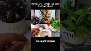 Refrigerator Smells BAD Fix it with This ONE Trick [upl. by Debbie467]