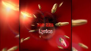 No 223 Lyrics By Tylan1k [upl. by Etom]