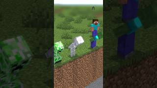 Whats going on Minecraft Animation [upl. by Aihsat]