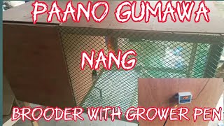 how to make brooder with growing pen paano gumawa ng brooder with growing pen [upl. by Carthy]