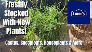 398 Plant Shopping VLOG Lowe’s Is Freshly Stocked  I Saw A Lot Of My Favorites🪴 [upl. by Naillimxam]