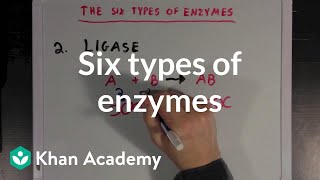 Six types of enzymes  Chemical Processes  MCAT  Khan Academy [upl. by Labotsirhc]