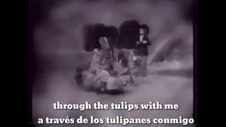 TINY TIM  TIPTOE THROUGH THE TULIPS  SUBTITULADO ESPAÑOL  INGLÉS [upl. by Nesral]