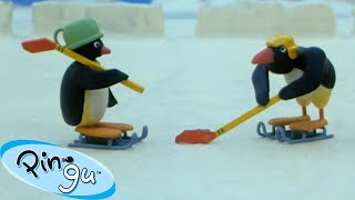 Pingus Favorite Sports 🐧  Pingu  Official Channel  Cartoons For Kids [upl. by Enisamoht]