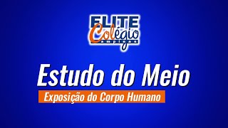 Estudo do meio  Elite Colégio Continuação [upl. by Adnert]