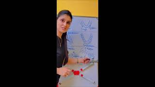 The RIDGE explain Anticline Syncline antiform Synform and Anticlinorium Synclinorium [upl. by Sirron58]