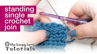 Learn to do the Standing Single Crochet aka SC Join and Get Cleaner Yarn Joins Today [upl. by Florinda107]