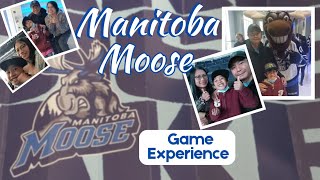 Manitoba Moose vs Rockford Icehogs Game Experience October 16 2022 [upl. by Narra]