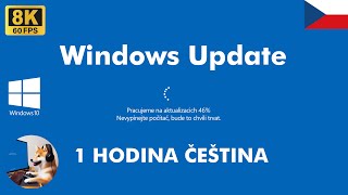 čeština obrazovka aktualizace Windows 10 8K 4K HD 60 1 hodinová smyčka Falešná obrazovka žert 2024 [upl. by Francie]