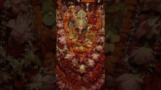 Dukalu Yadaw ll Cg Navratri Song Status Video ll 2024 Jana Mana Kahithe dai bane mahatari vo ll 🥺🥺😌 [upl. by Attlee292]