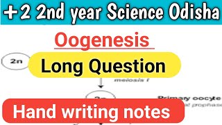 Oogenesis Class 12th Oogenesis Long Question Hand writing noteDeepaksunaacademy [upl. by Lilithe]