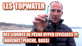 Les TOPWATER des leurres de pêche HYPER EFFICACES  brochet perche bass [upl. by Leemaj513]