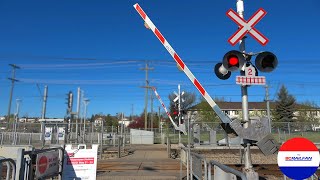 Pedestrian Railroad Crossing  SomersetBridlewood Station Calgary AB [upl. by Aihsela]