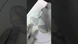 Beautiful flower drawing By Pencil drawing art sketch flowerdrawing pencilsketch pencildrawing [upl. by Dionysus732]