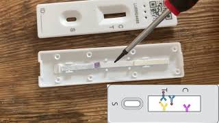 ZoomDoc Health Lateral Flow Test [upl. by Firehs]