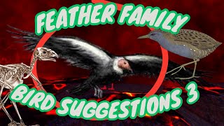 Feather Family Bird Suggestions 🦆 PART 3 [upl. by Yezdnil]