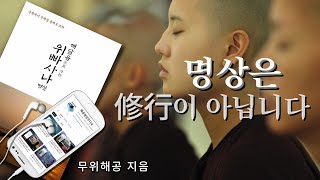 내가 열심히 수행해서 깨달은 사람이 된다는 것은 잘못된 개념입니다 무위해공 명상위빠사나오디오북 [upl. by Niuqauj]