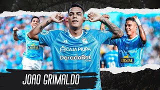 Joao Grimaldo ▶ Skills Goals amp Highlights 2024ᴴᴰ [upl. by Sredna]