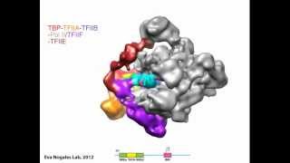 cryoelectron microscopy [upl. by Annabella]