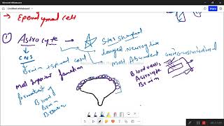 neuroglia and typesof neuroglia [upl. by Arries]