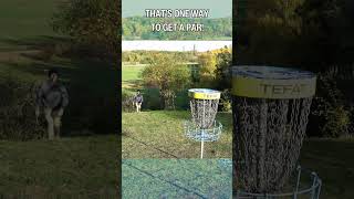 BALL DISC GOLF 😱 discgolf frisbeegolf cheating dga dgablowfly blowfly [upl. by Sudoeht]