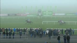 Punchestown Highlights 20th November 2016 [upl. by Ready]