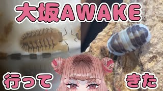 【イベント】大阪AWAKE行ってきた！ [upl. by Delp]