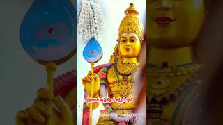 Thiruparankudrathil nee sirithaal muruga 🙏🙏🙏murugan song tamil status [upl. by Shah36]