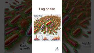 Bacterial growth curve bacterialgrowth biology microbiology science [upl. by Anialam16]