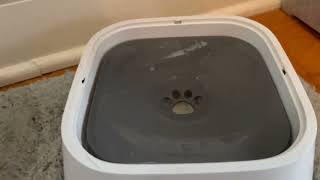 LumoLeaf Dog Water Bowl Dog Bowl No Spill Pet Water Bowl Review [upl. by Abita]