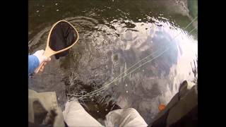 Nick Fly Fishing  Beaverkill River NY  Small Mouth amp The Sunny  Sept 2014 [upl. by Ocsisnarf]