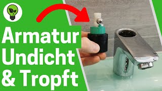 Armatur Undicht amp Tropft ✅TOP ANLEITUNG Wie Waschbecken Wasserhahn Reparieren amp Kartusche Wechseln [upl. by Yelik]