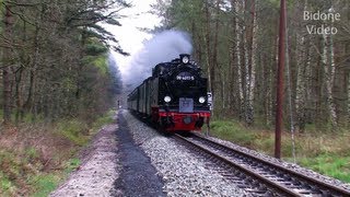 Eisenbahn 2012 25 Dampfloks  Steam Trains  Züge [upl. by Eniarrol]