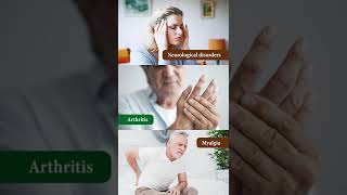 Benefits of Elakizhi  Kerala Ayurvedic Massage  Kottakkal Ayurveda Dubai Ajman [upl. by Nojed]