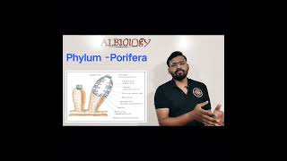 Phylum  Porifera Animal classification  viral short  Avinash sir [upl. by Milburr]