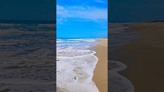 millionaire honeysingh beach rameshwaram dhanushkodibeach [upl. by Twyla312]