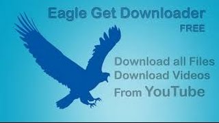 How To download videos From Eagleget [upl. by Grayson]