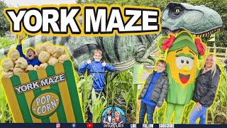 Exploring York Maze 2024 The Ultimate Family Adventure [upl. by Magnus]