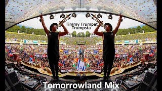 Timmy Trumpet  Trumpsta Tomorrowland Mix 2017 [upl. by Fannie]