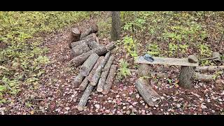 woodshed build firewood processing [upl. by Pardo283]