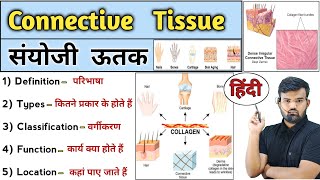 संयोजी ऊतक  Connective Tissue  Anatomy and Physiology  Connective tissue in Hindi  Tissue notes [upl. by Nauqyaj]